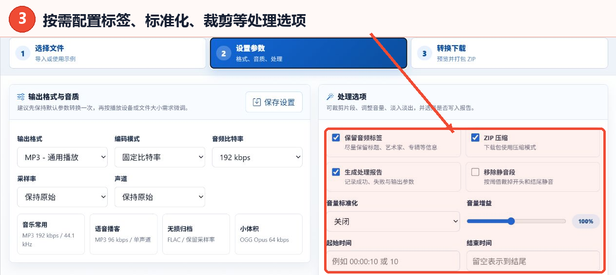 音频格式转换工具的保留标签、音量归一化、裁剪和淡入淡出处理选项