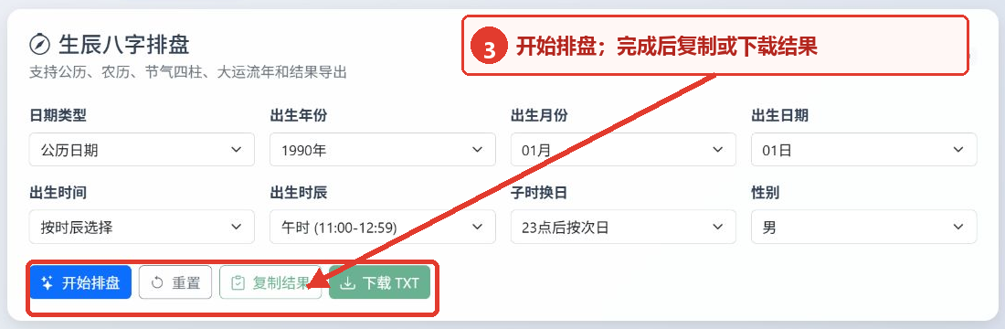 生辰八字转换工具的开始排盘、复制结果和下载 TXT 按钮